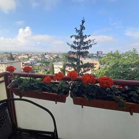 Apartman Lienka Free Parking City Centre Trenčín Eksteriør bilde