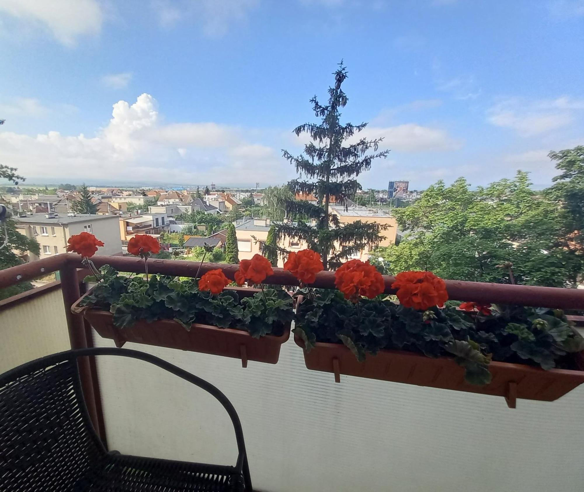 Apartman Lienka Free Parking City Centre Trenčín Eksteriør bilde